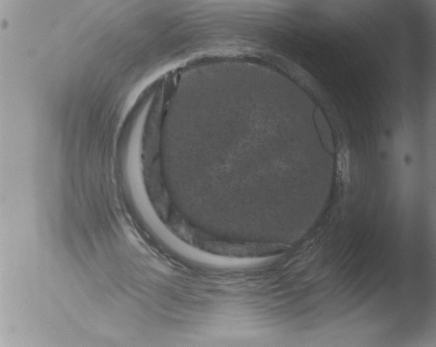 X0000051860724200507081822