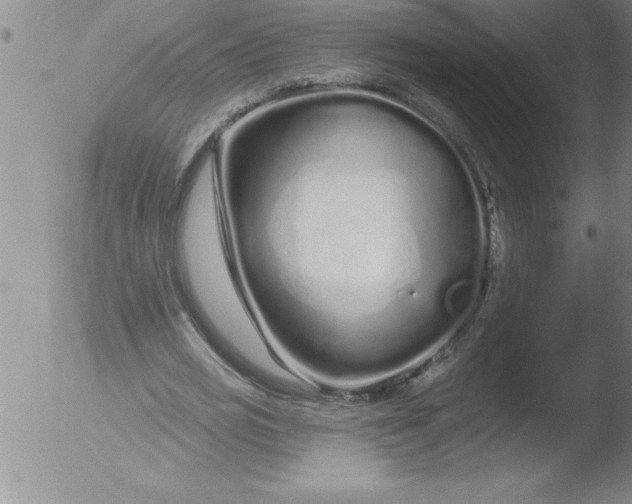 X0000051860725200507081822