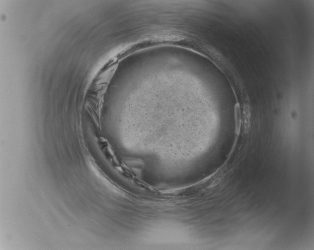 X0000051860726200507081822