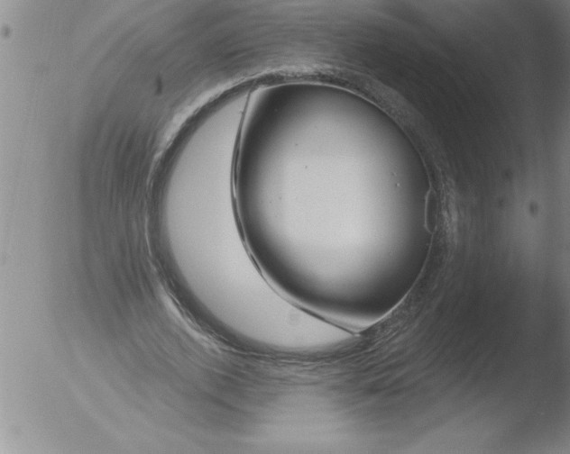 X0000051860728200507081822