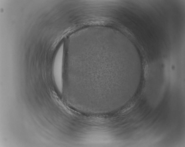 X0000051860729200507081822