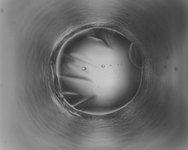 X0000051860730200507081822