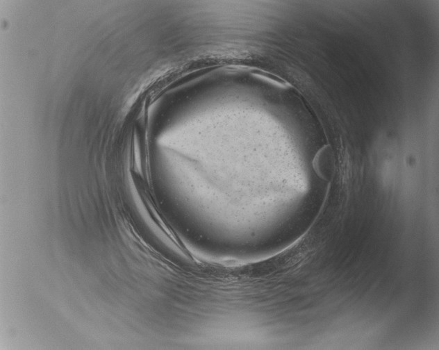 X0000051860731200507081822