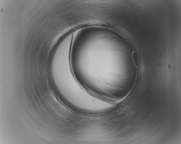 X0000051860732200507081822