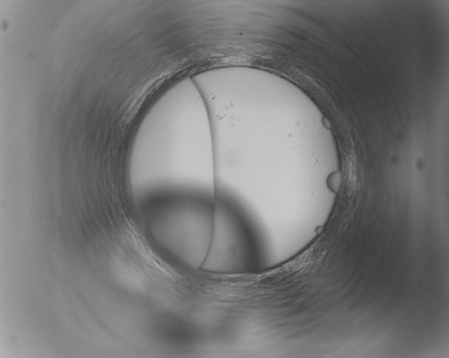 X0000051860733200507081822