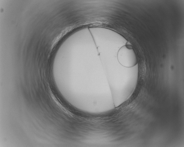 X0000051860734200507081822