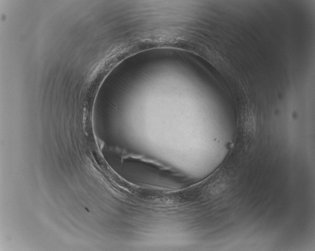 X0000051860735200507081822