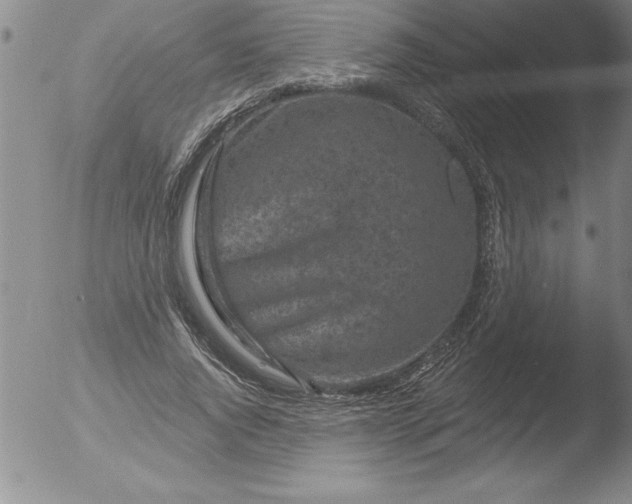 X0000051860736200507081822