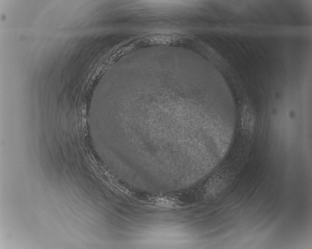 X0000051860737200507081822