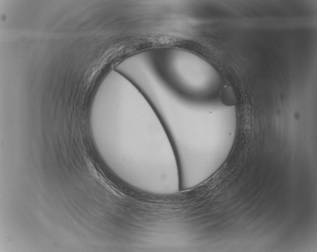 X0000051860738200507081822