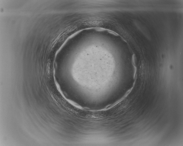 X0000051860739200507081822