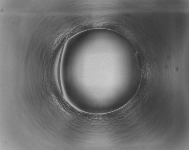 X0000051860740200507081822