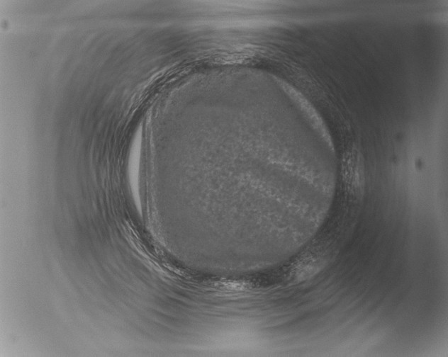 X0000051860741200507081822