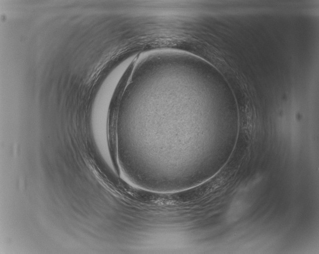 X0000051860742200507081822