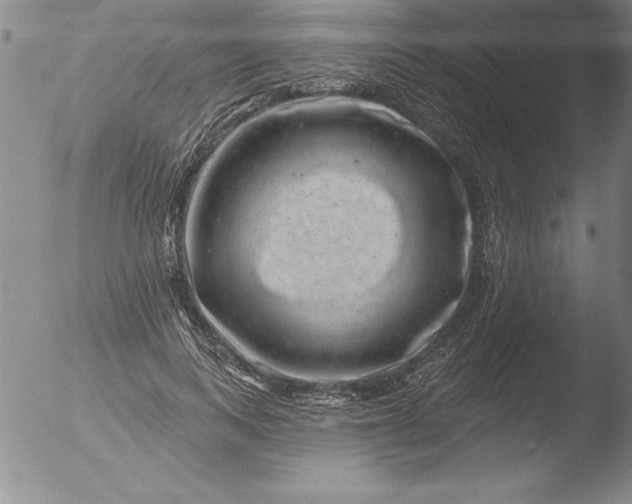 X0000051860743200507081822