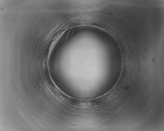 X0000051860744200507081822