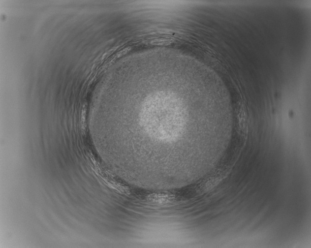 X0000051860745200507081822