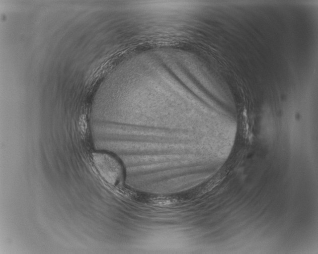 X0000051860746200507081822