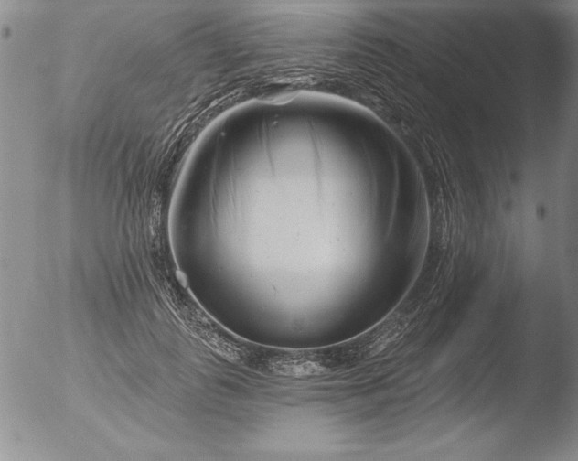 X0000051860747200507081822