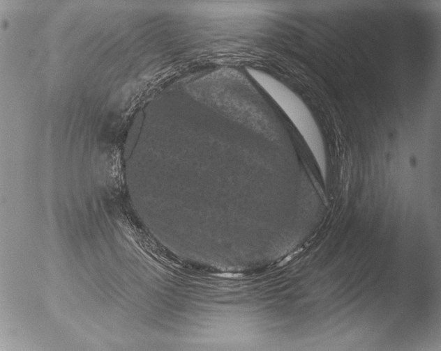 X0000051860748200507081822