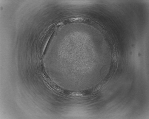 X0000051860749200507081822