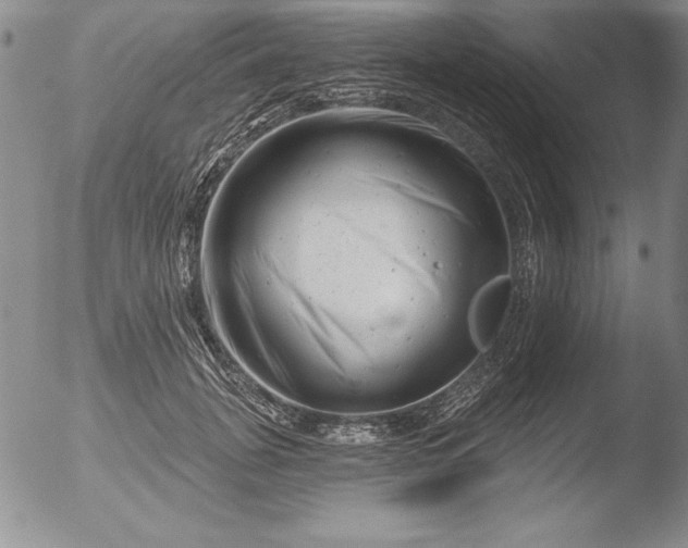 X0000051860751200507081822