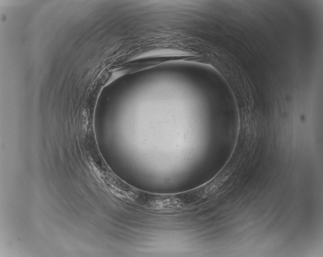 X0000051860752200507081822