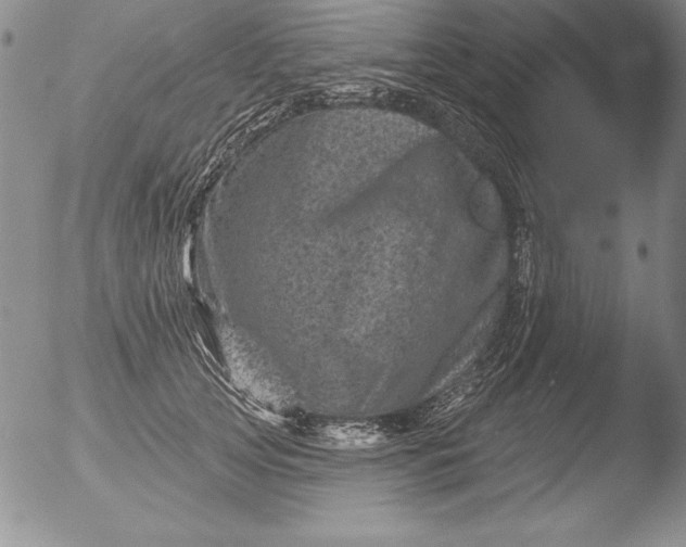 X0000051860753200507081822