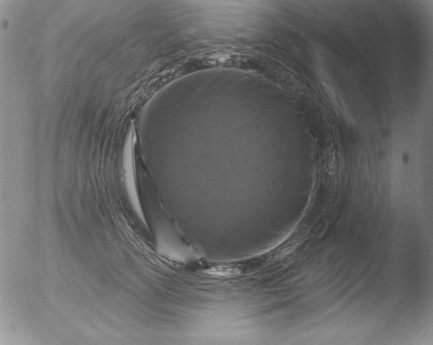 X0000051860754200507081822