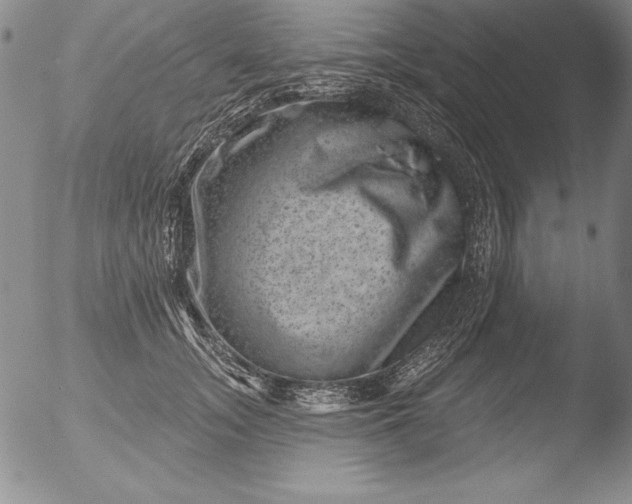 X0000051860755200507081822