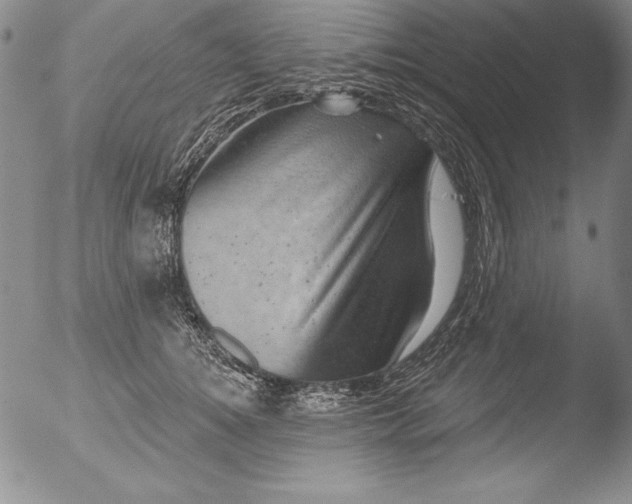 X0000051860756200507081822