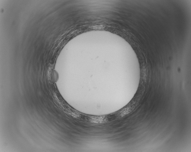 X0000051860757200507081822