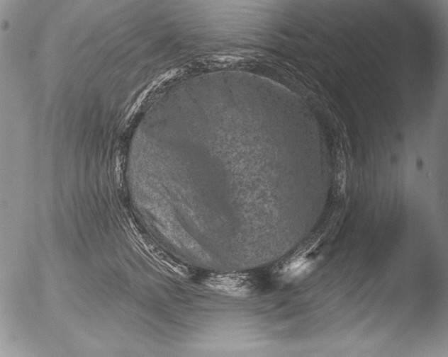 X0000051860758200507081822