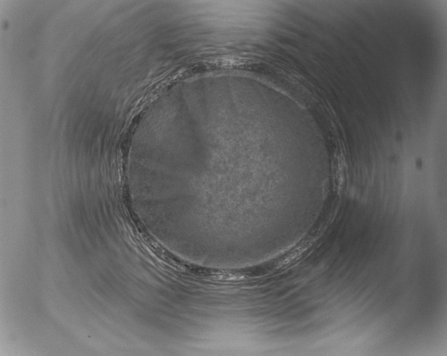 X0000051860760200507081822