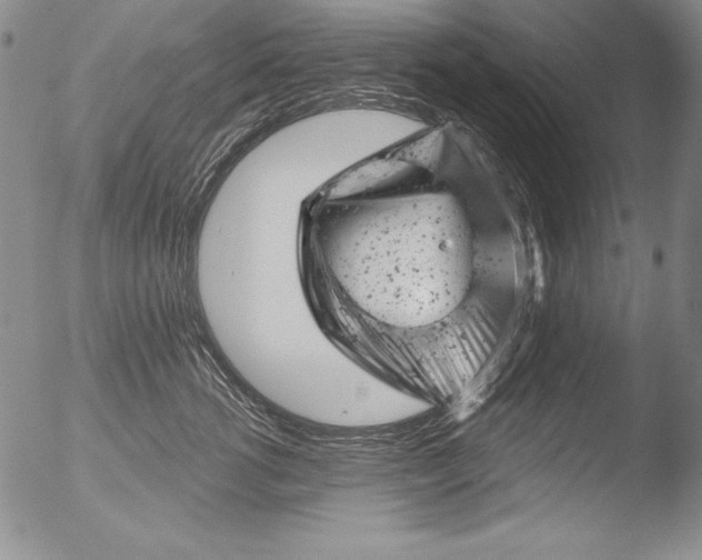 X0000051860762200507081822