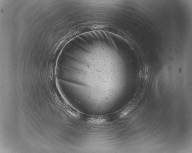 X0000051860763200507081822