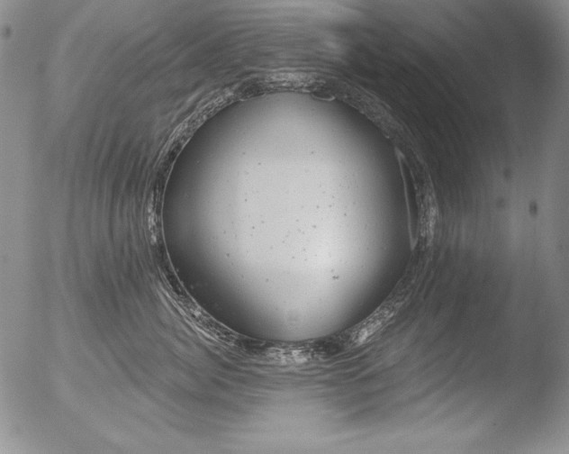 X0000051860764200507081822