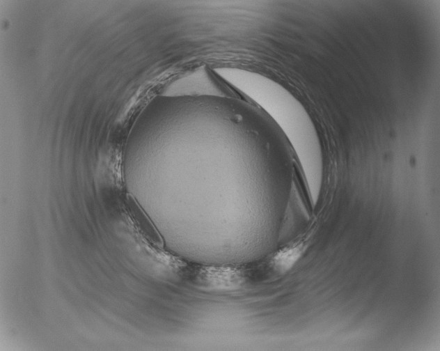 X0000051860766200507081822