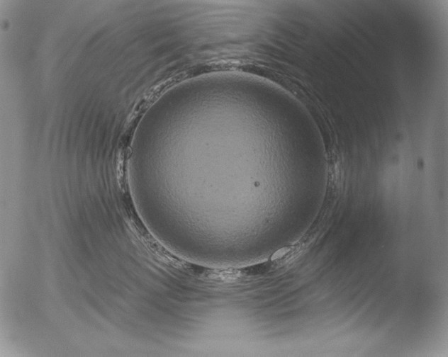 X0000051860767200507081822