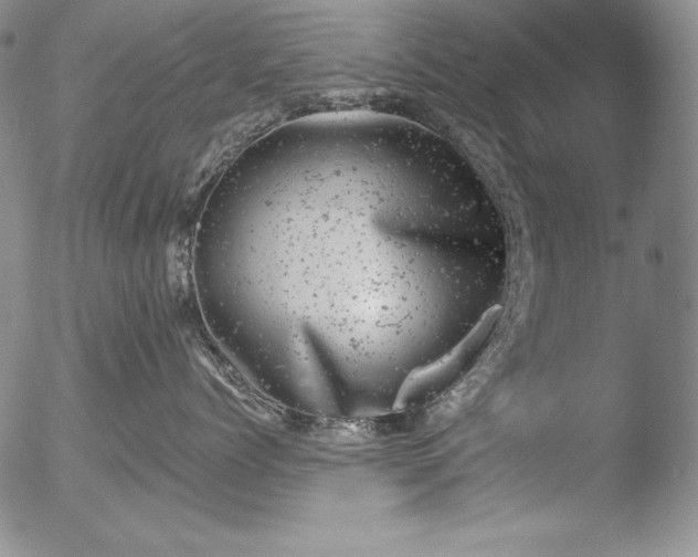 X0000051860768200507081822