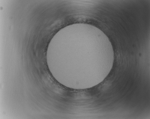 X0000051860769200507081822