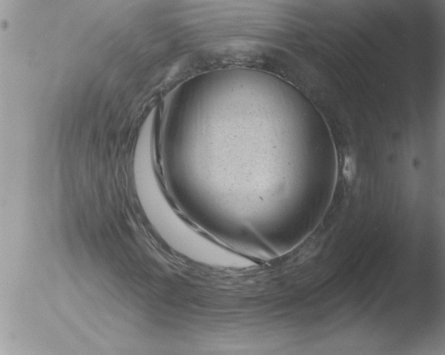 X0000051860771200507081822