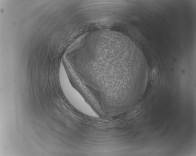 X0000051860772200507081822