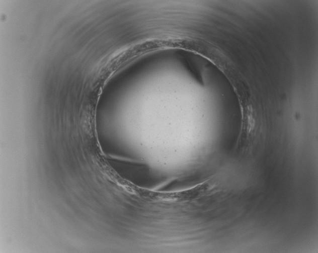 X0000051860773200507081822