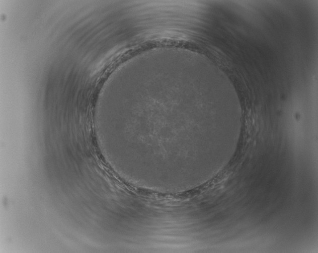 X0000051860774200507081822