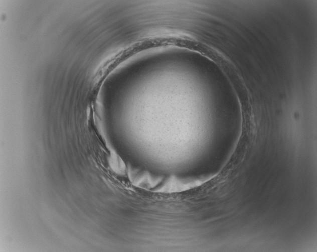 X0000051860775200507081821