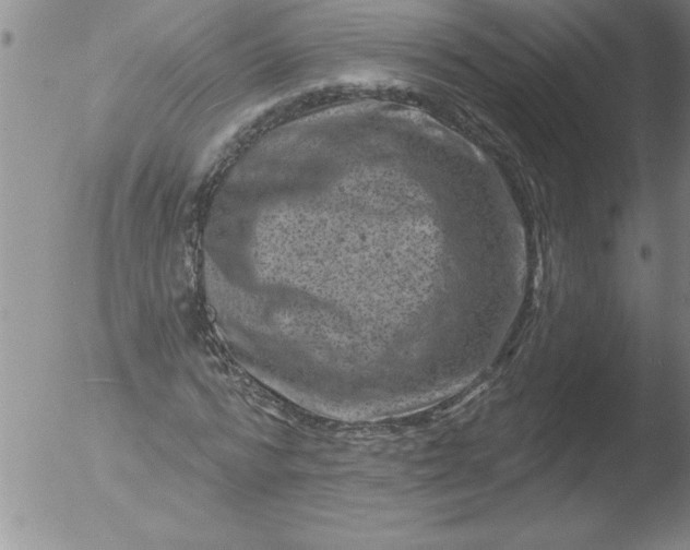 X0000051860776200507081821