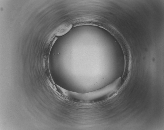 X0000051860777200507081821