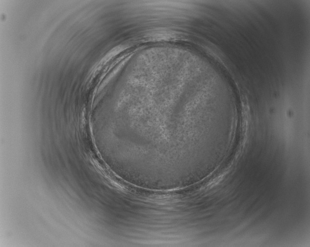 X0000051860778200507081821