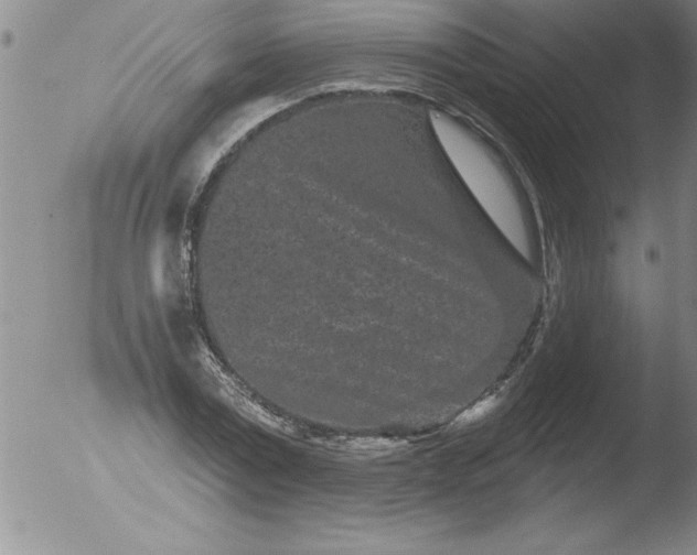 X0000051860779200507081821